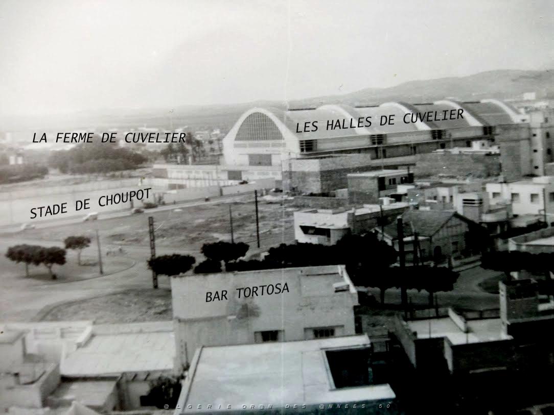 ORAN 1960 CUVELIER CHOUPOT MARAVAL 3 - LE STADE ET LES HALLES 2.jpg